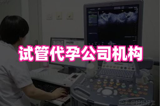 梦美助孕网 1