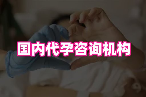 梦美助孕网 2