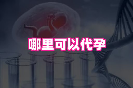 梦美助孕网 3