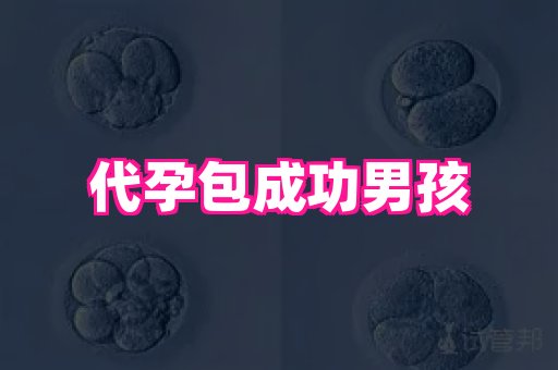 梦美助孕网 4